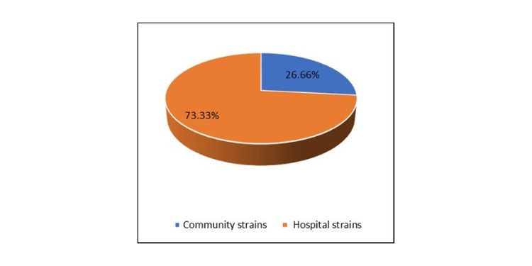 International Journal of Clinical Microbiology-Staphylococci
